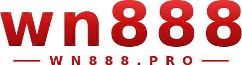wn888 logo